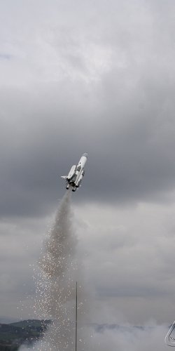 2013 Svojek Mirek Topinka